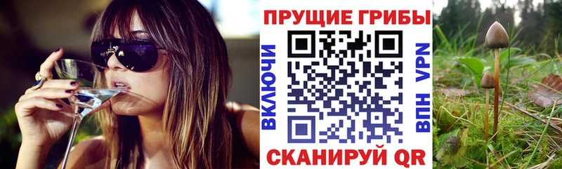 Галлюциногенные грибы Magic Shrooms Канск